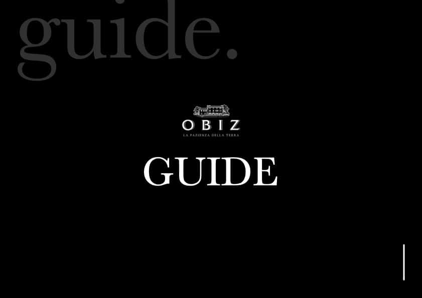 Cover_Guide_ITA